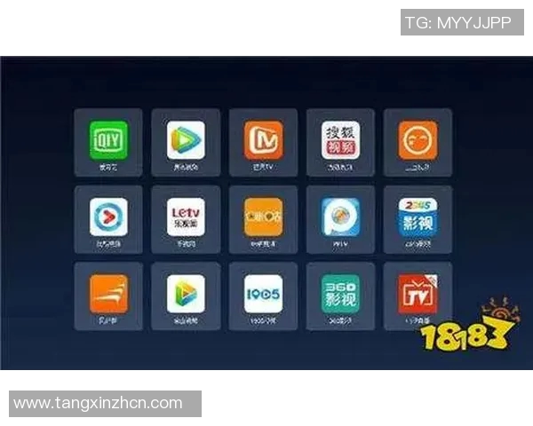 糖心app一对一-糖心App一对一，个性化服务的探索与实践-糖心一对一视频